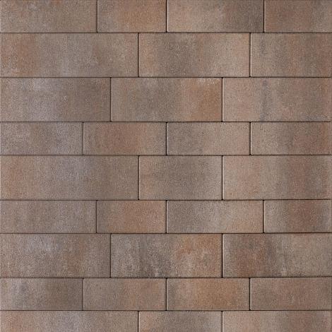 Seleniton  banenverband Bruin/Beige/Zwart